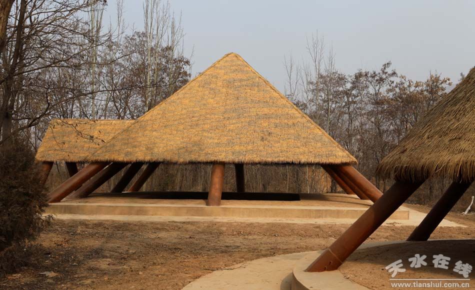 1510731979805038.jpg 7.jpg