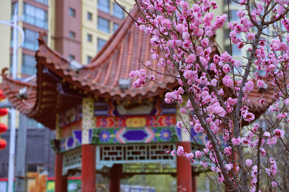 IMG_9215_mh1647495821171.jpg IMG_9215_mh1647495821171.jpg