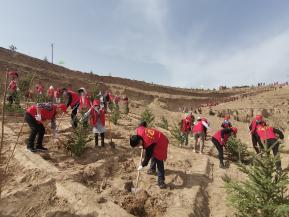 武山县文旅局开展植树活动248.png