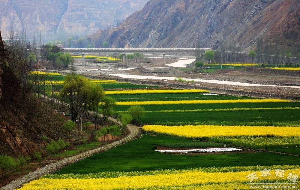 1510884967352430.jpg 8.jpg