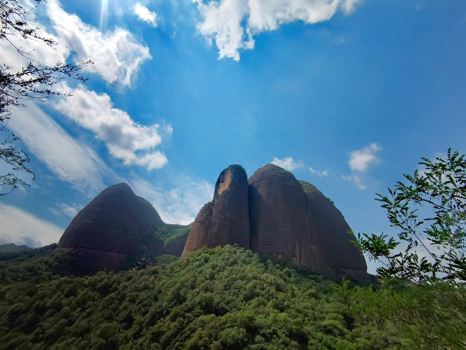 IMG_20210623_105919_edit_95288587893790.jpg IMG_20210623_105919_edit_95288587893790.jpg