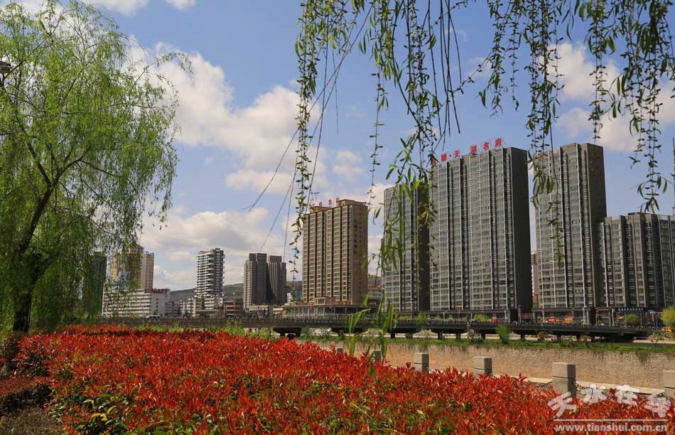 1513826628117739.jpg 5.jpg