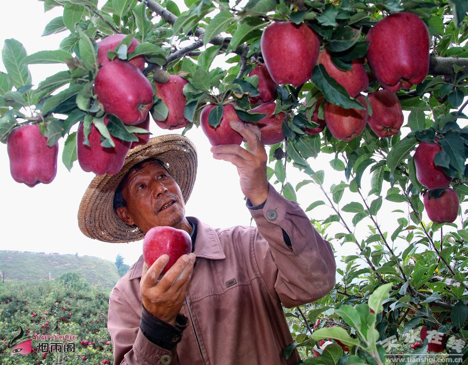 1514257146119365.jpg 3.jpg