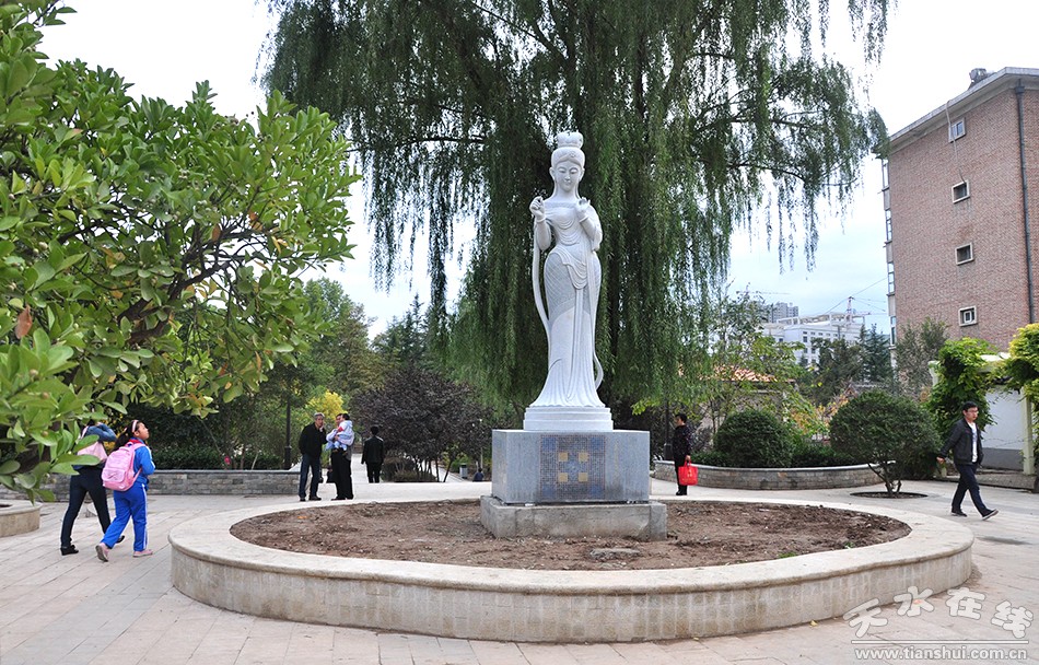 1513826603431694.jpg 2.jpg