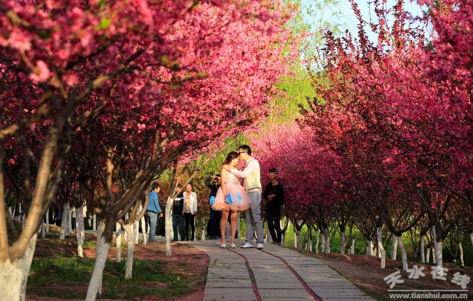 1513826588714757.jpg 1.jpg