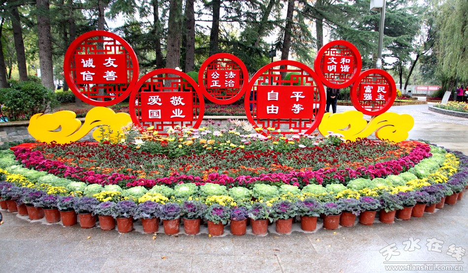 1513826610116577.jpg 3.jpg