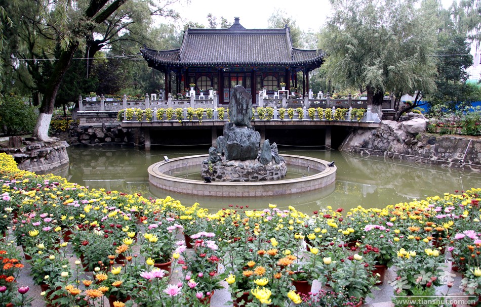 1513826619119012.jpg 4.jpg