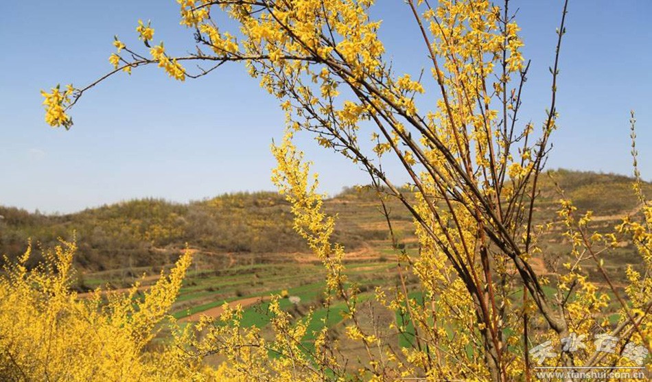 1522555066745353.jpg 18033021257012c68a787c4d60.jpg