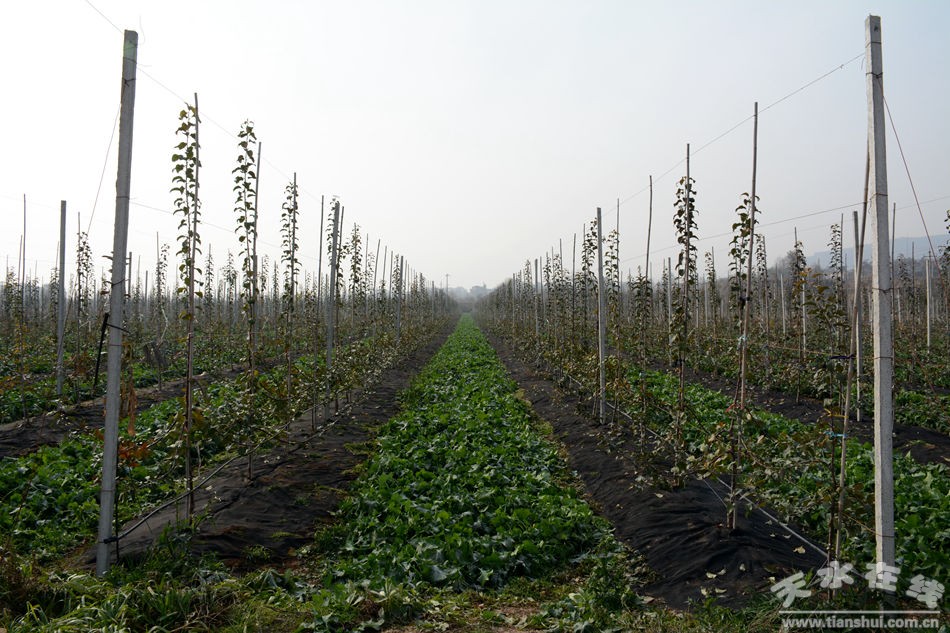 1511748346369556.jpg 12.jpg