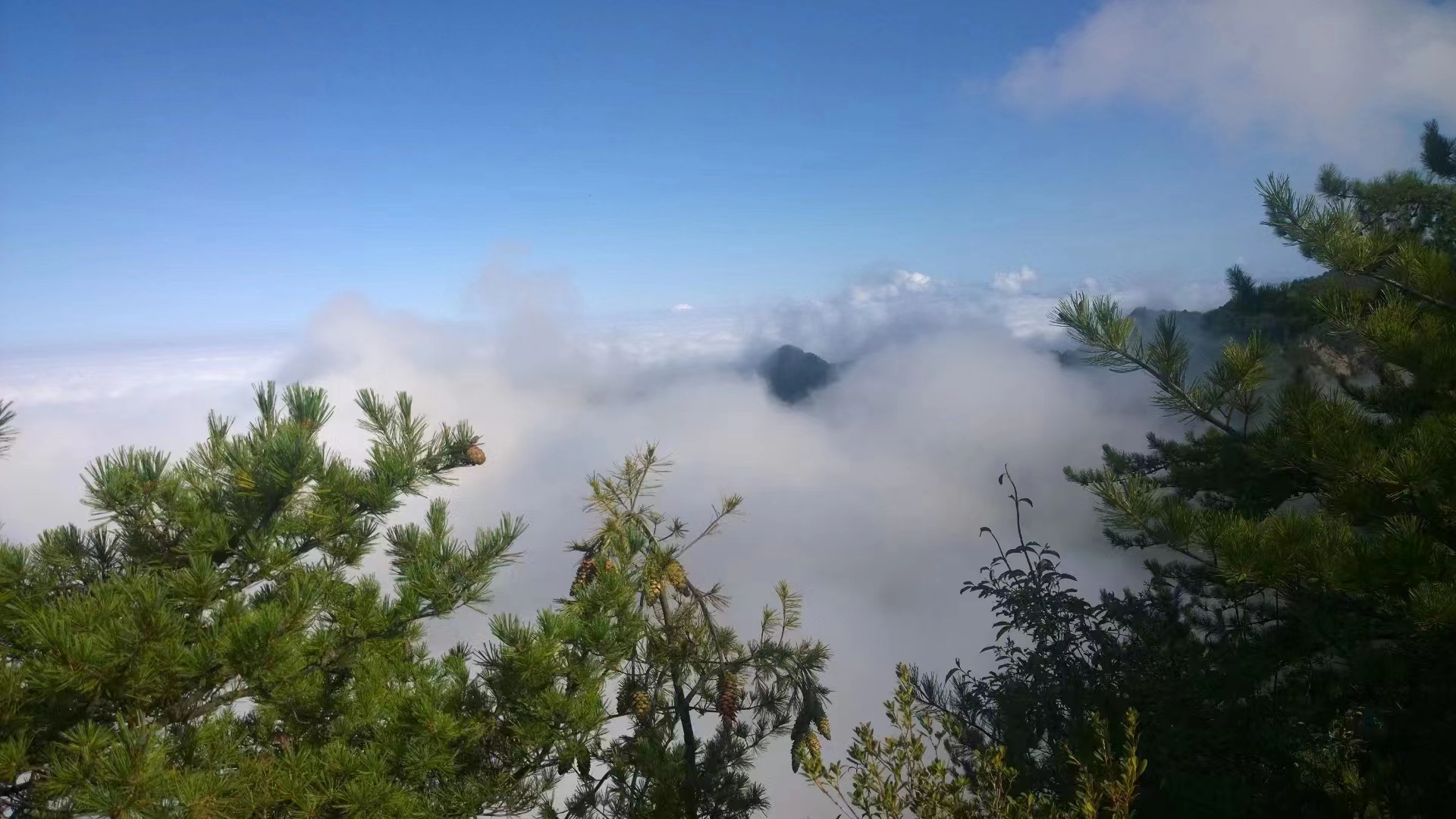 微信图片_20220603195522.jpg 微信图片_20220603195522.jpg