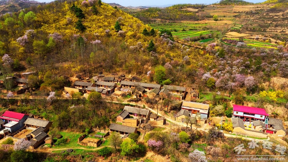 1511487690327213.jpg 6.jpg