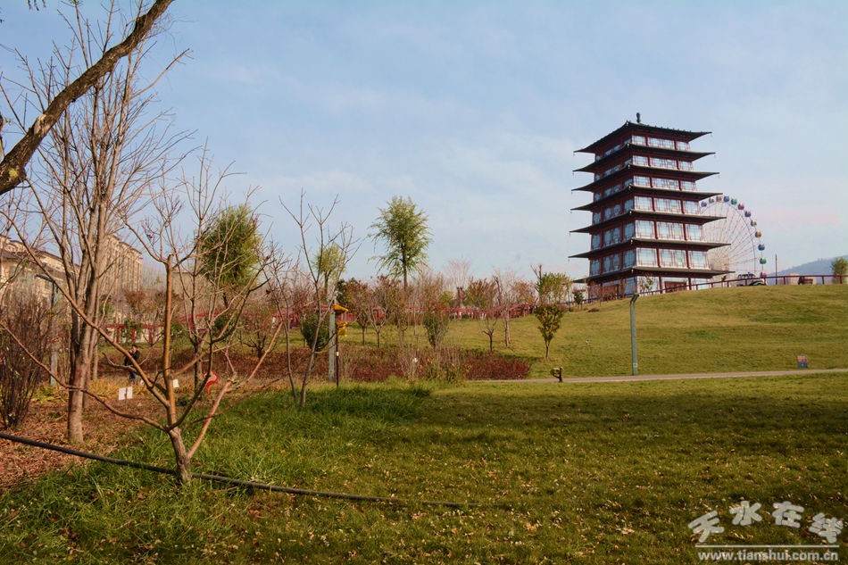 1511748337105630.jpg 11.jpg