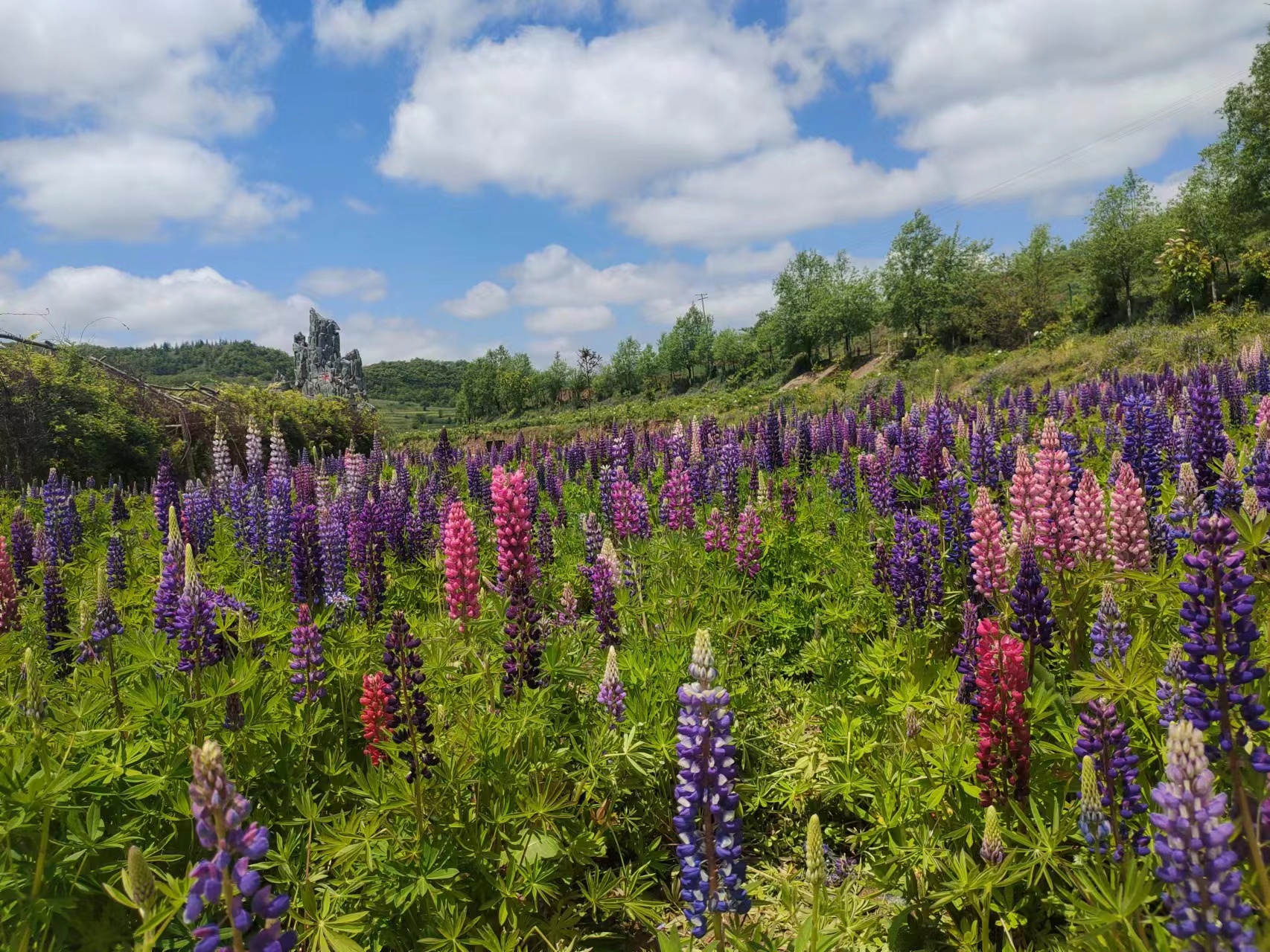 微信图片_20220603195447.jpg 微信图片_20220603195447.jpg