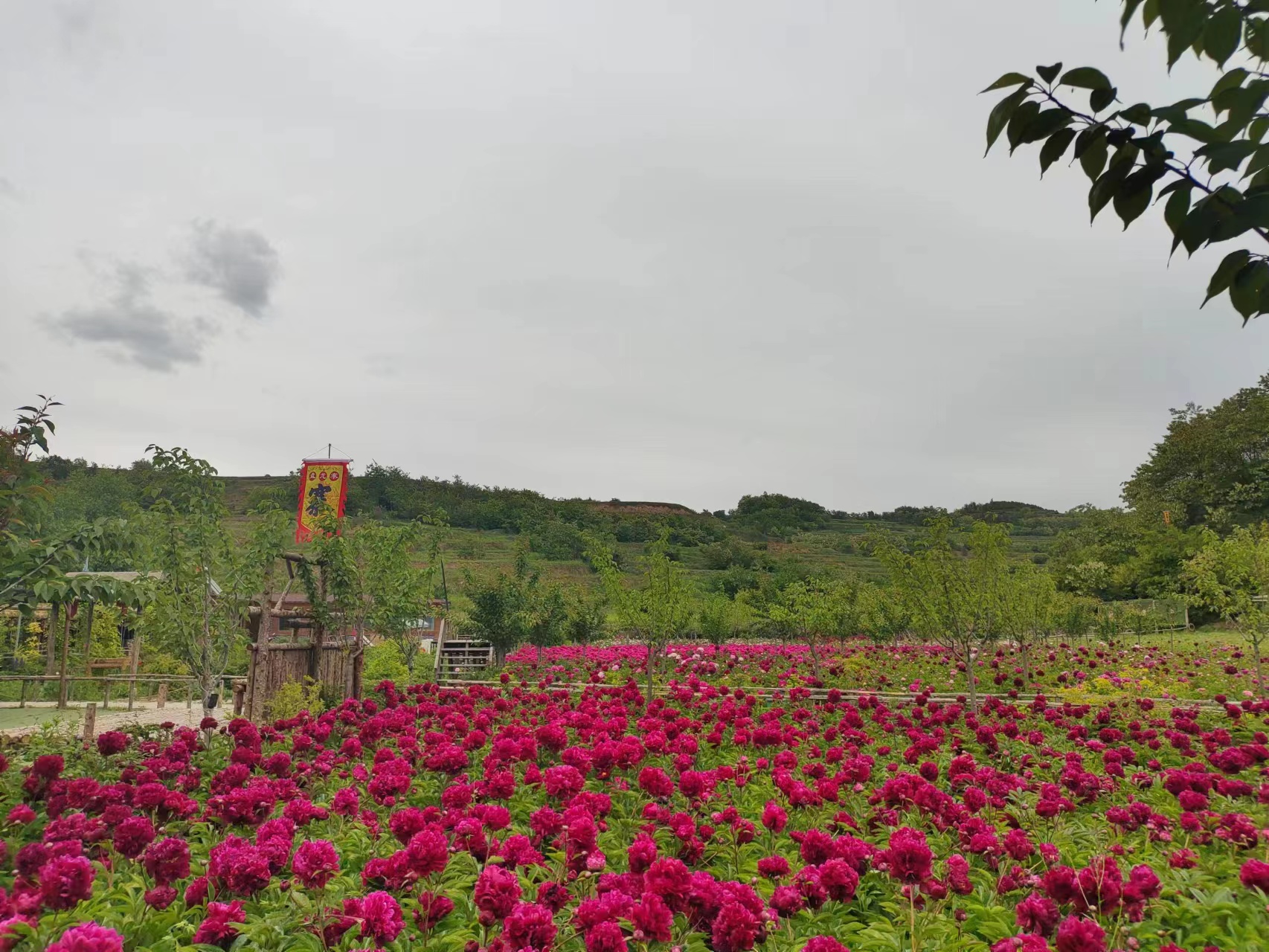 微信图片_20220603195243.jpg 微信图片_20220603195243.jpg