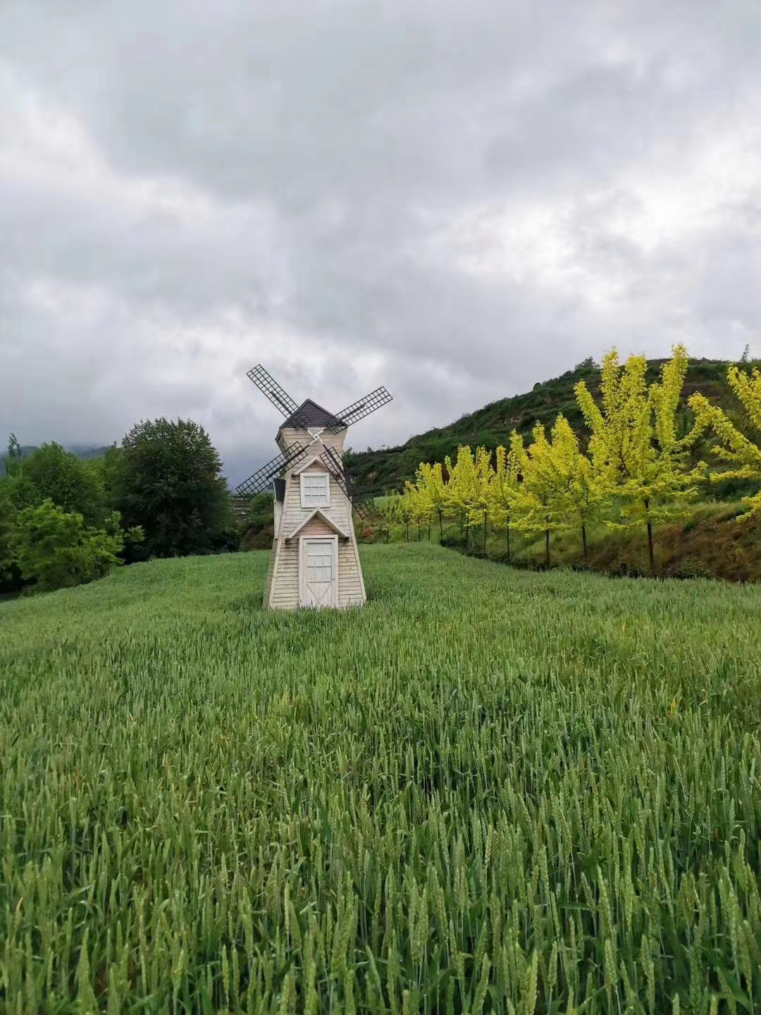 微信图片_20220603195518.jpg 微信图片_20220603195518.jpg