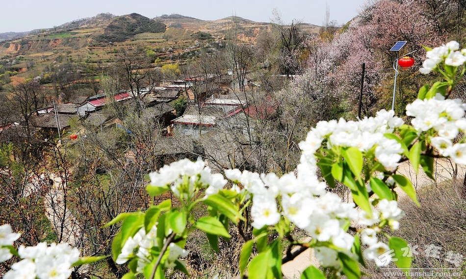 1511487870442237.jpg 8.jpg