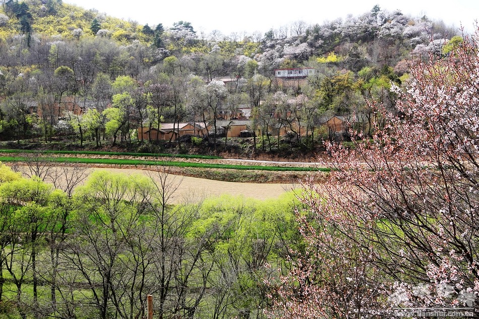 1511487863457815.jpg 7.jpg