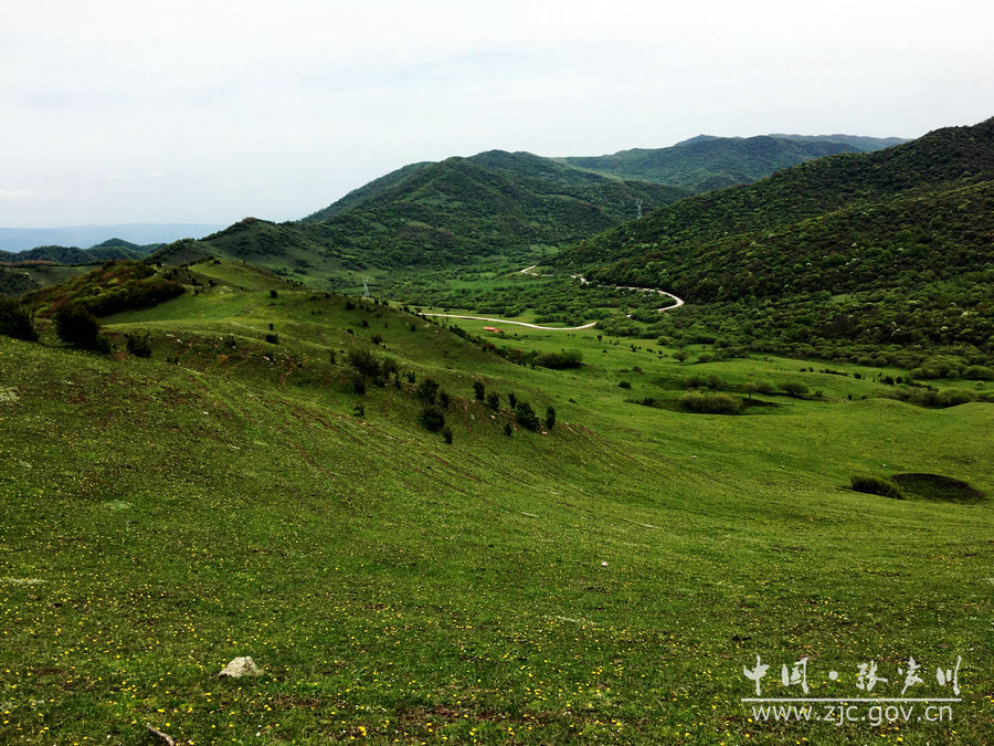 1505114717101641.jpg 2.jpg