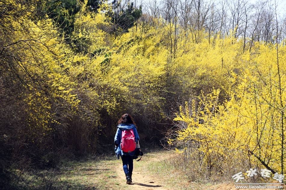 1522555089942998.jpg 1803302127dd9376f88cf8e2e2.jpg