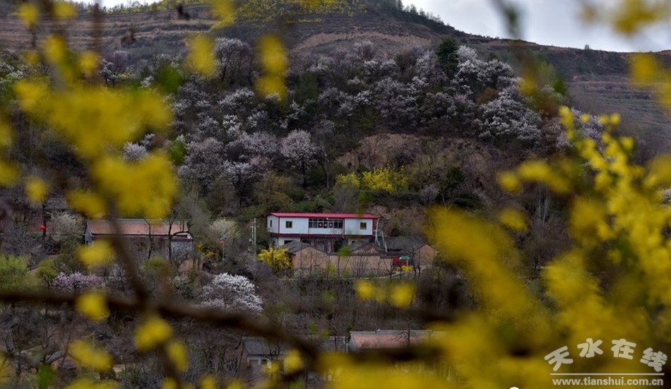 1522555116375280.jpg 18033021271639c7bc7097cf73.jpg