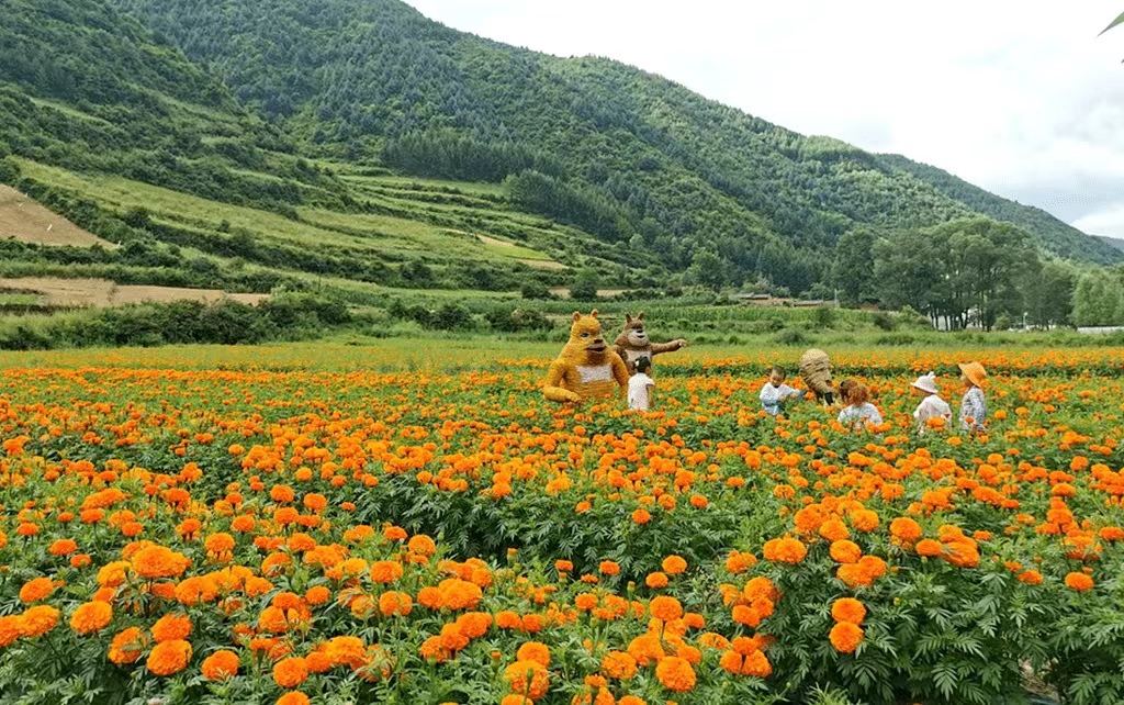 微信图片_20220603202435.jpg 微信图片_20220603202435.jpg