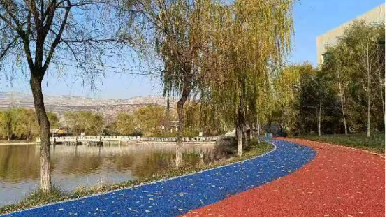 武山县鸳鸯湖公园投入使用371.png 武山县鸳鸯湖公园投入使用371.png