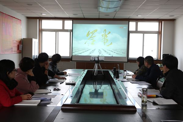 1520300189104076.jpg image003.jpg