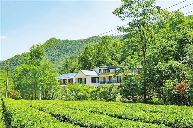 3fcb772df35f4b73a9efdc62eb278fe8.jpg 3fcb772df35f4b73a9efdc62eb278fe8.jpg