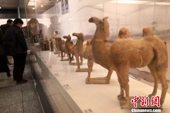 1548412443141144.jpg 1.jpg