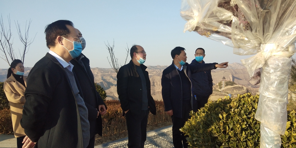 1583830817534153.jpg 图片4.jpg