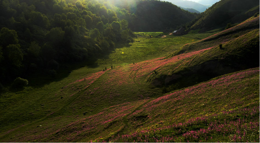 北关山.png 北关山.png