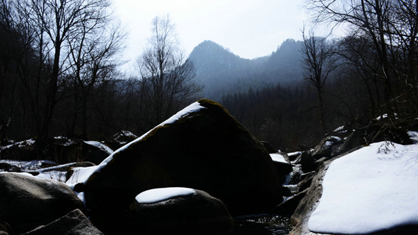 雪景8.jpg 雪景8.jpg