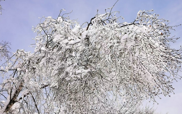 雪景2.jpg 雪景2.jpg