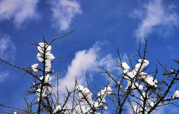 雪景3.jpg 雪景3.jpg