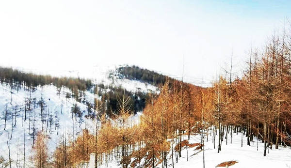 风情园雪景7.jpg 风情园雪景7.jpg