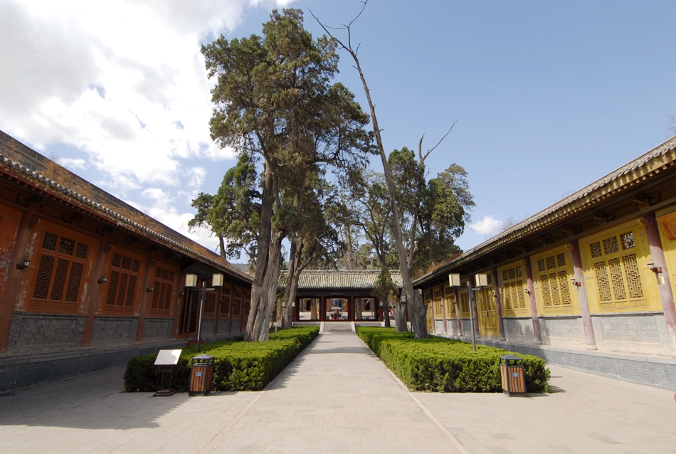 1562120068174149.jpg 6.jpg