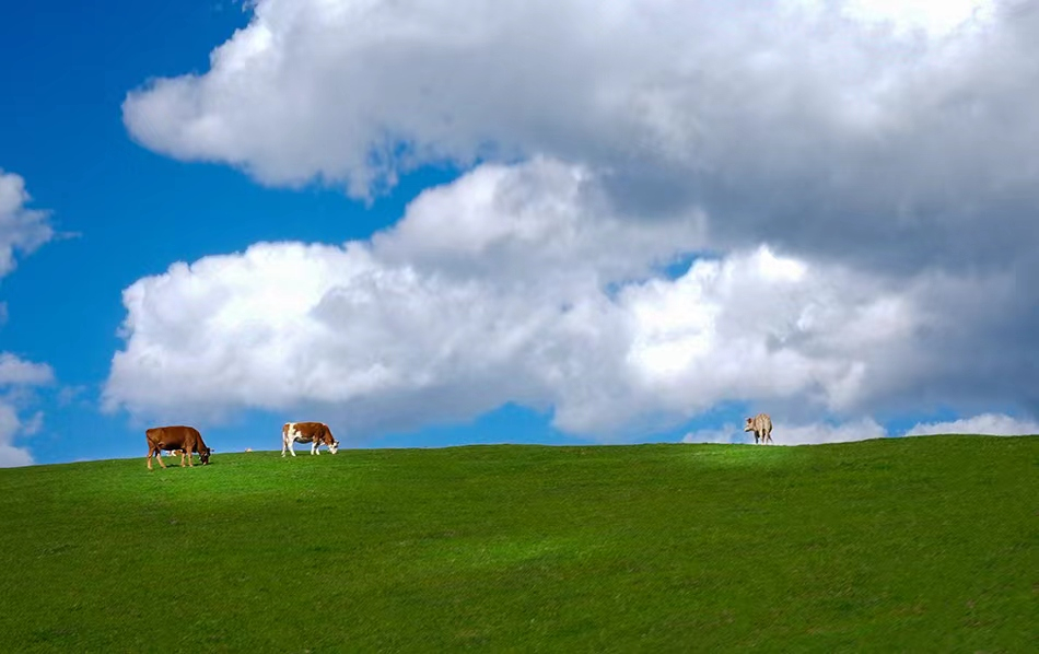 秦家塬风景.jpg 秦家塬风景.jpg