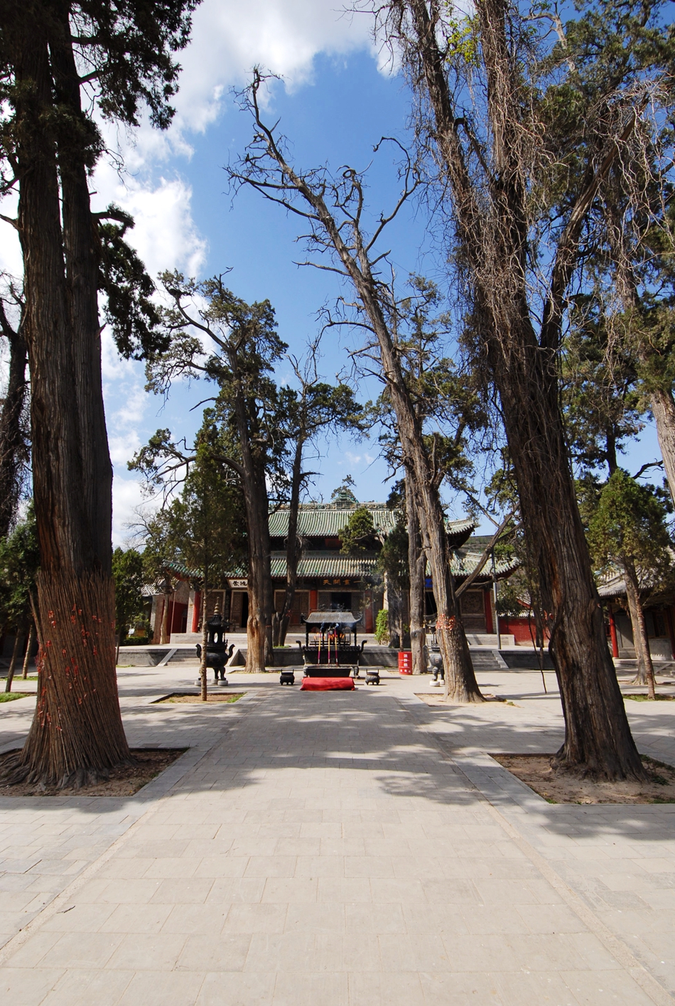 1562120119162488.jpg 2.jpg