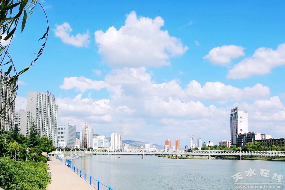 1562120497669359.jpg 8.jpg