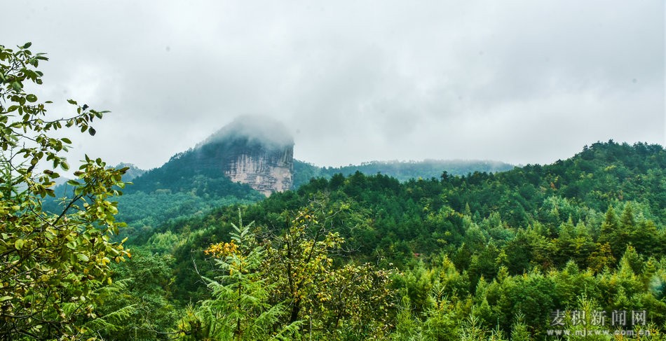 1511316736653997.jpg 3.jpg