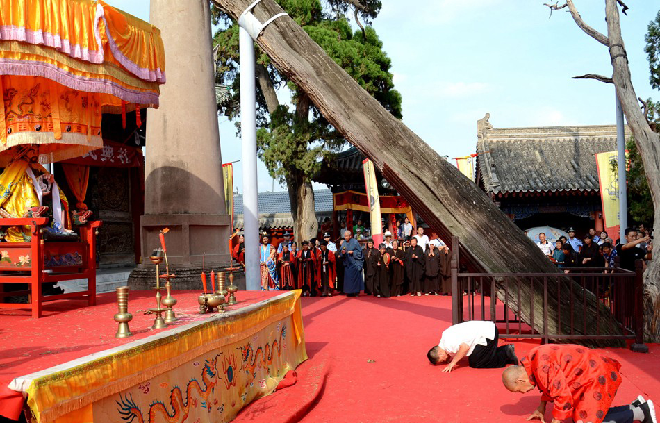 1535431032126801.jpg 1608221919e7ee039e986a2ca8 拷贝.jpg