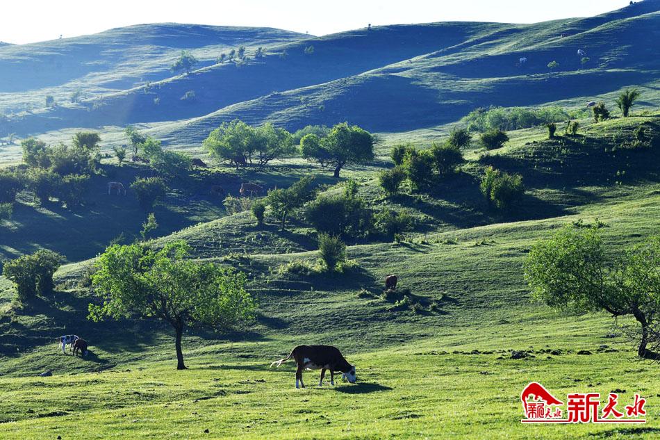 秦家塬景区.jpg 秦家塬景区.jpg