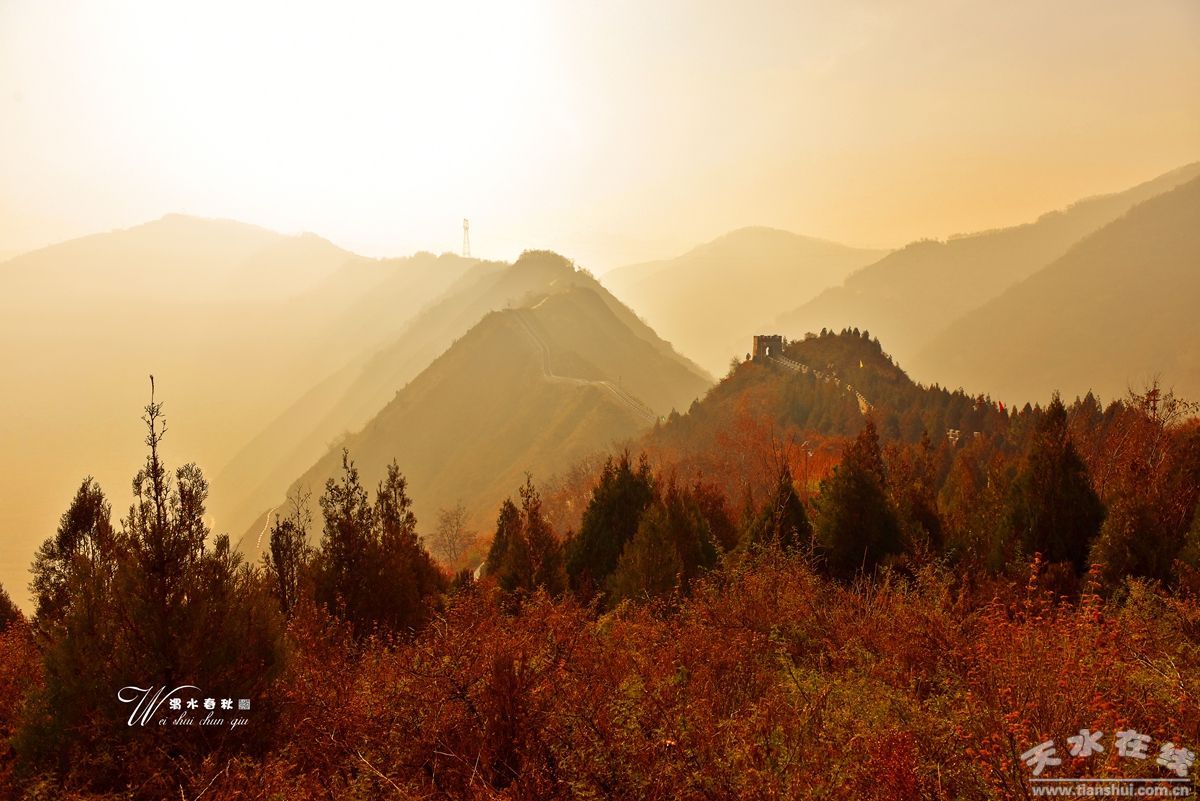 1516086577987235.jpg 9.jpg