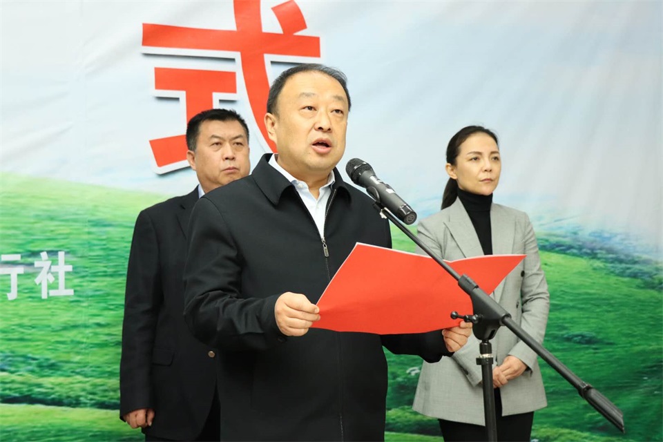 1584684041865971.jpg 6.jpg