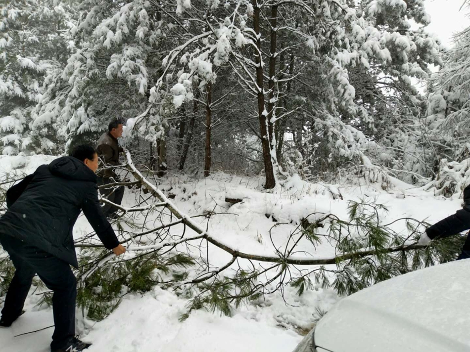 1586228561427865.jpg 微信图片_20200404190052.jpg