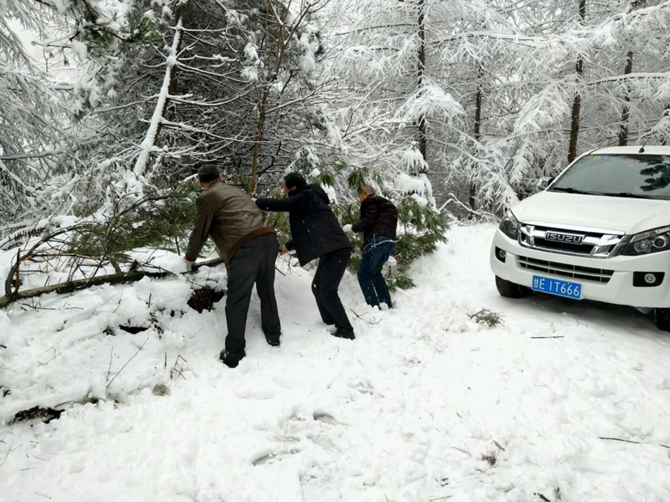 1586228405540048.jpg 微信图片_20200404190059.jpg