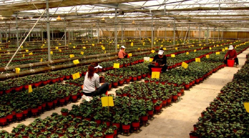 1524980649415773.jpg IMGb083fe7c568147490777414.jpg