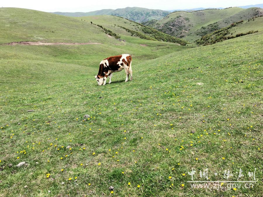 1505114831293907.jpg 6.jpg