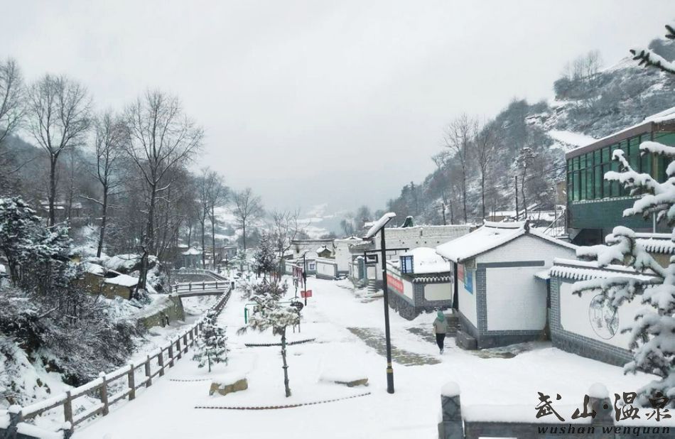 1517216798425240.jpg 1.jpg