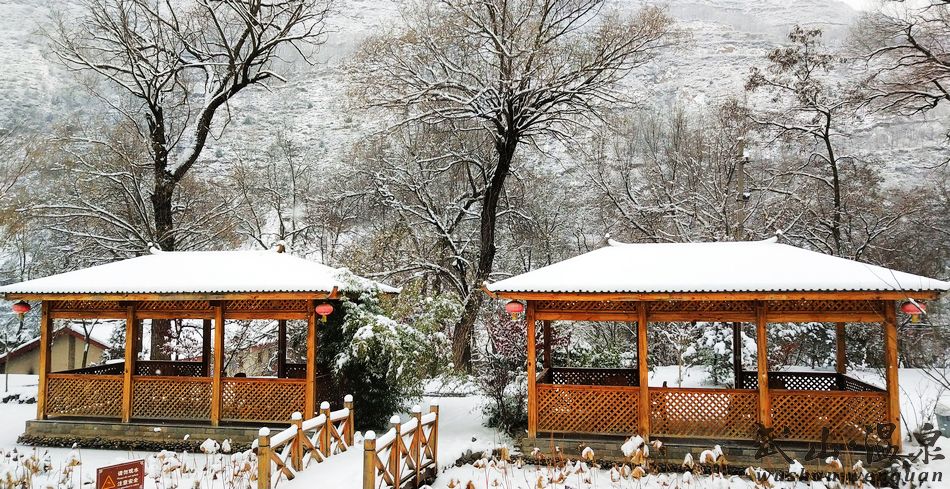 1517216828673017.jpg 3.jpg